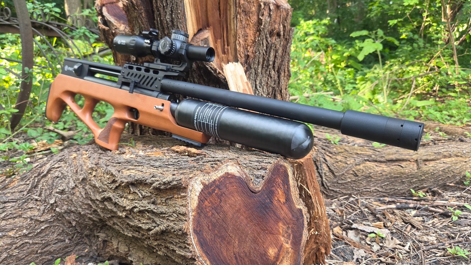 Understanding the Evolution of Pre-Charged Pneumatic (PCP) Airguns